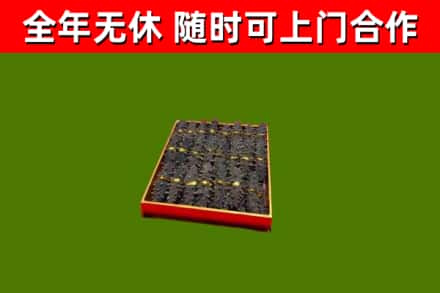 江干回收海参